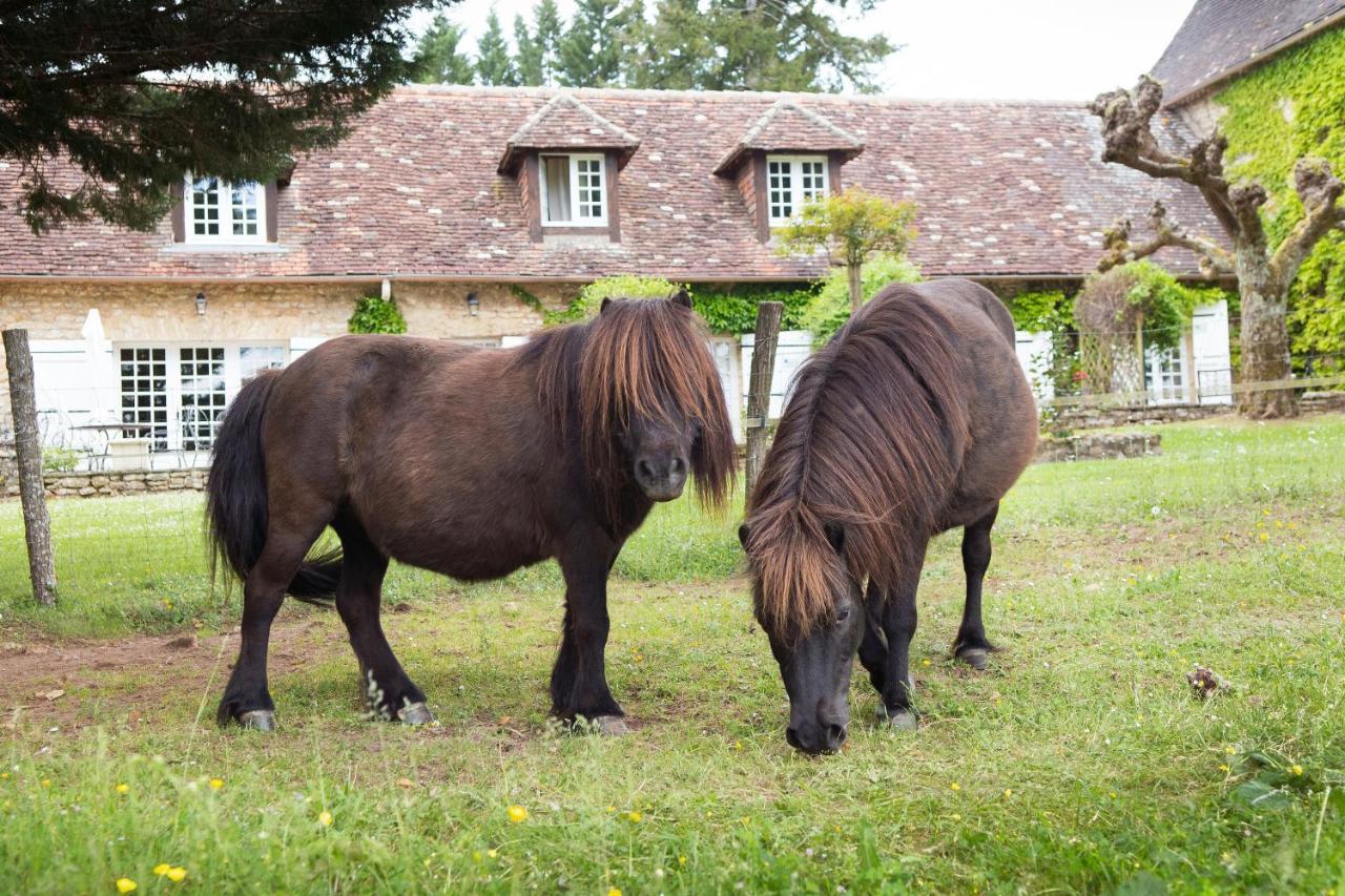 Mauzac-et-Grand-Castang Hotel La Metairie - Teritoria- Les Collectionneurs מראה חיצוני תמונה